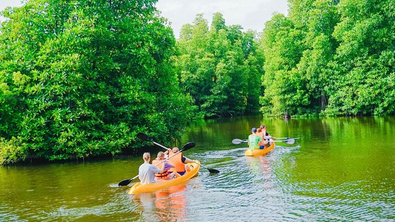 Lagoon Canoeing from Galle