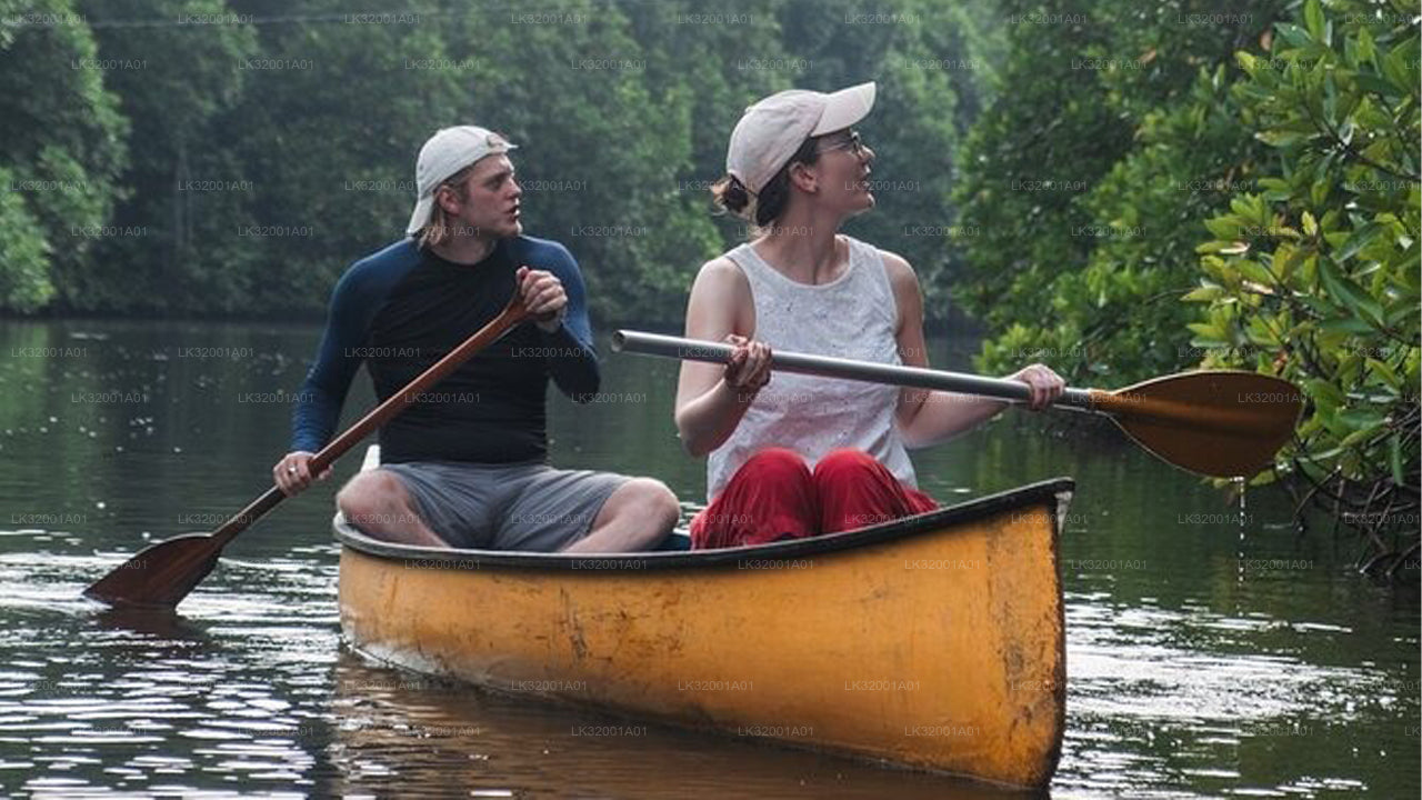Lagoon Canoeing from Galle