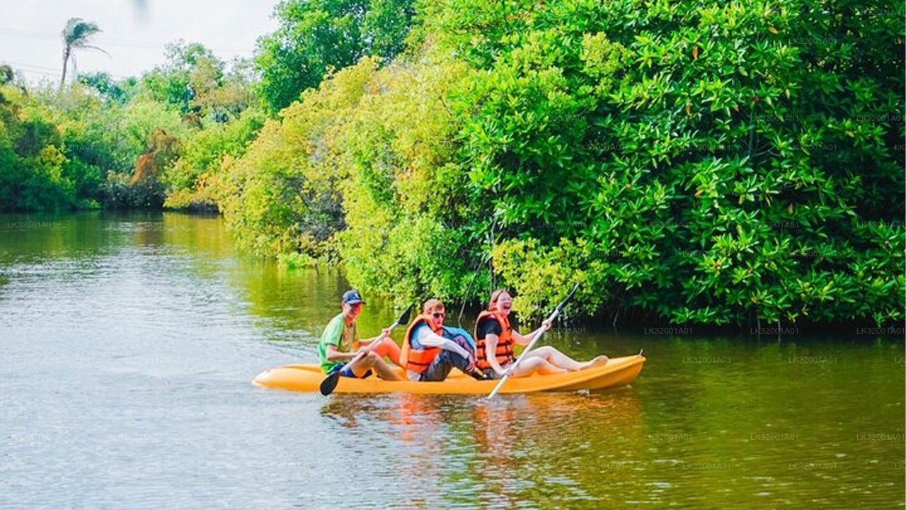 Lagoon Canoeing from Galle