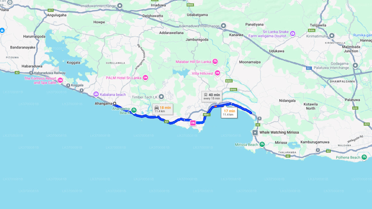 Observation des baleines au départ d'Ahangama en bateau partagé