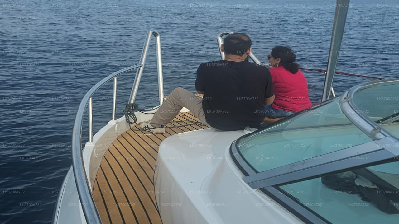 Excursion privée d'observation des baleines en hors-bord de luxe au départ de Mirissa