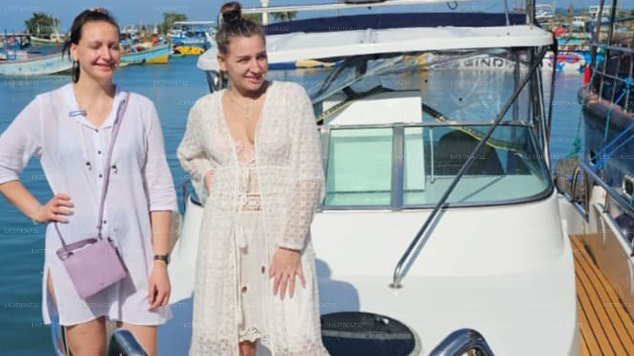 Excursion privée d'observation des baleines en hors-bord de luxe au départ de Mirissa