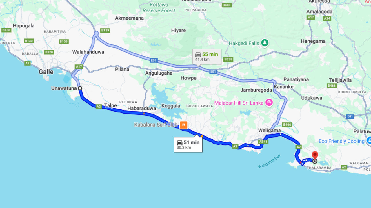 Observation des baleines au départ d'Unawatuna en bateau partagé