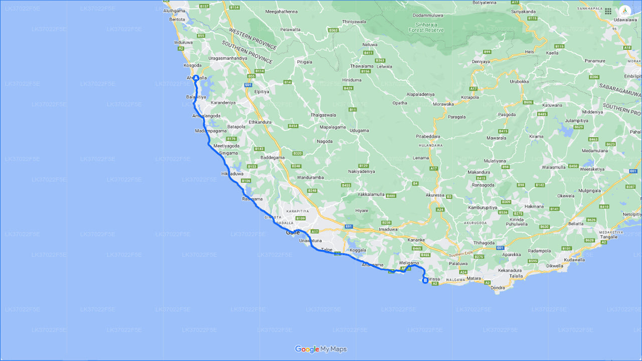 Observation des baleines au départ d'Ahungalla en bateau partagé