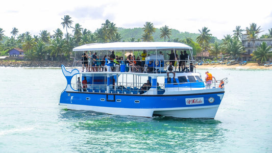 Excursion en bateau pour observer les baleines à Mirissa