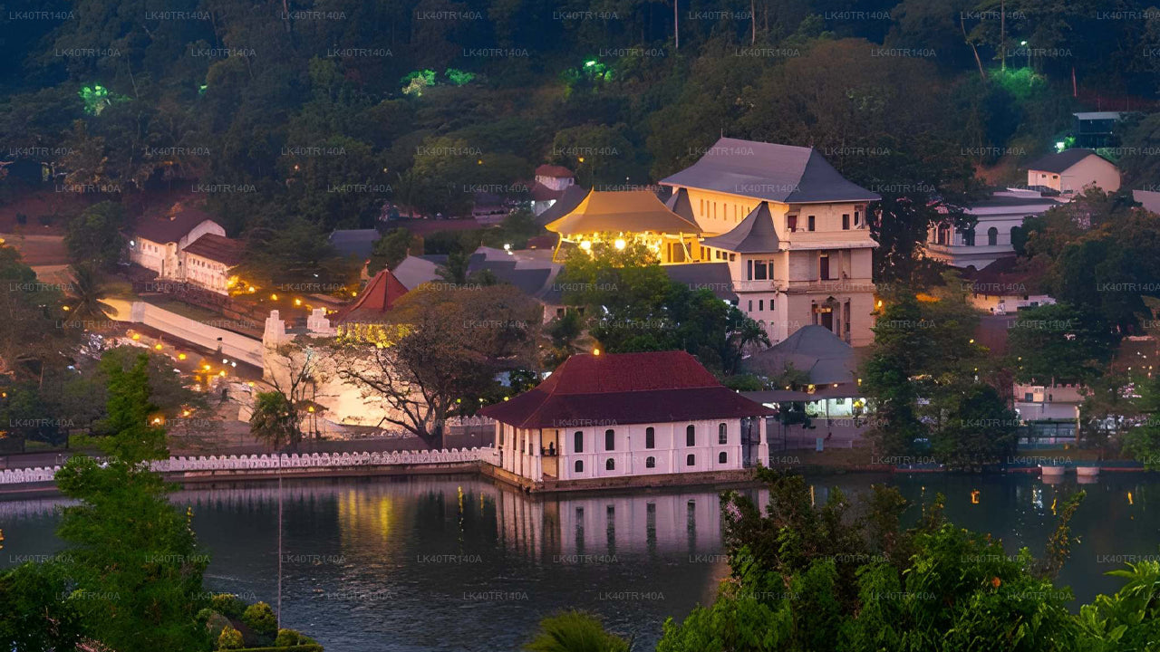 D'Ella à Kandy : un voyage pittoresque en train et en voiture ou en minibus