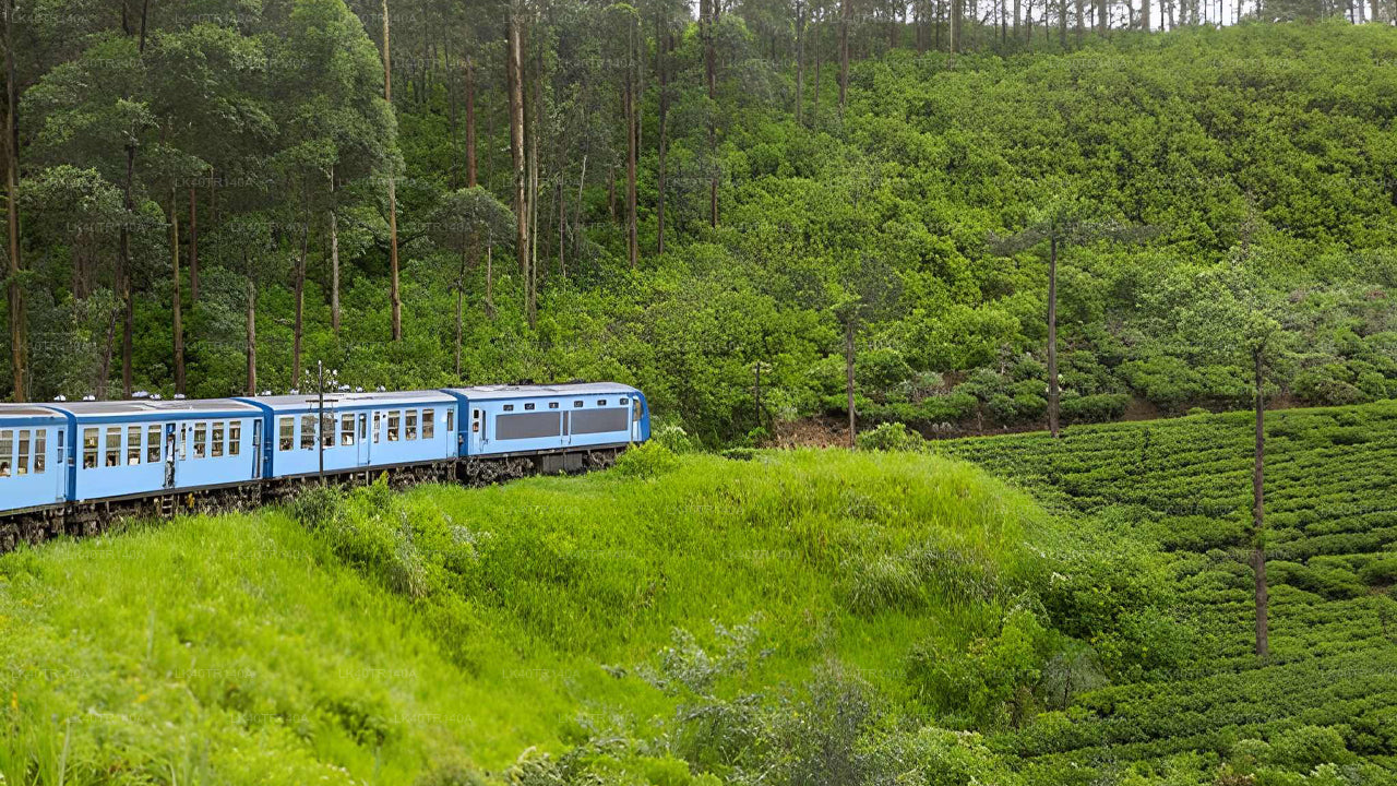 D'Ella à Kandy : un voyage pittoresque en train et en voiture ou en minibus