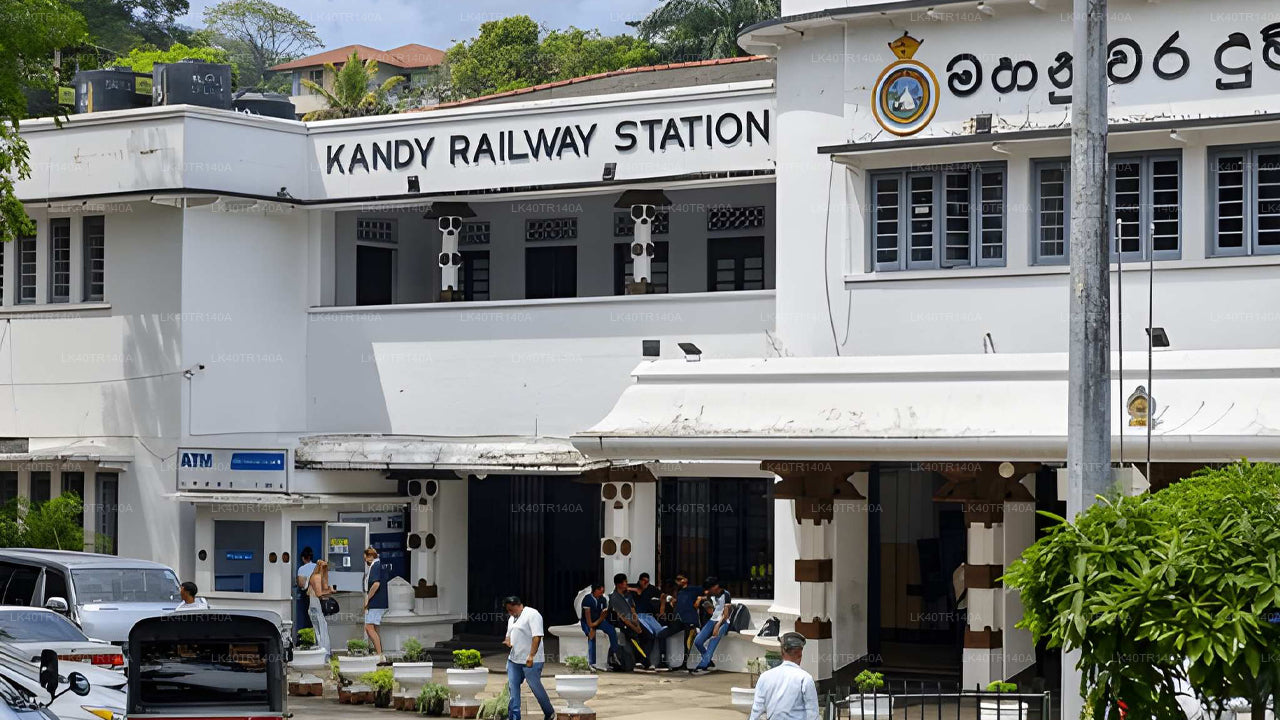 De Kandy à Ella : un voyage pittoresque en train et en voiture ou en minibus