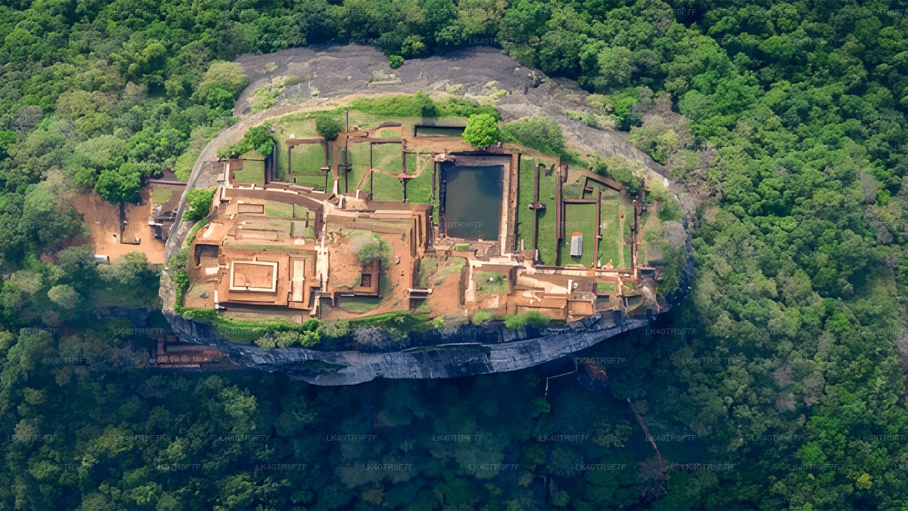 Transfert privé de Colombo à Sigiriya avec arrêts touristiques