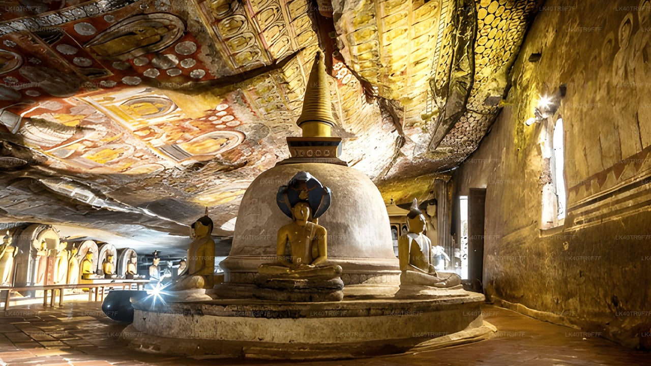 Transfert privé de Colombo à Sigiriya avec arrêts touristiques