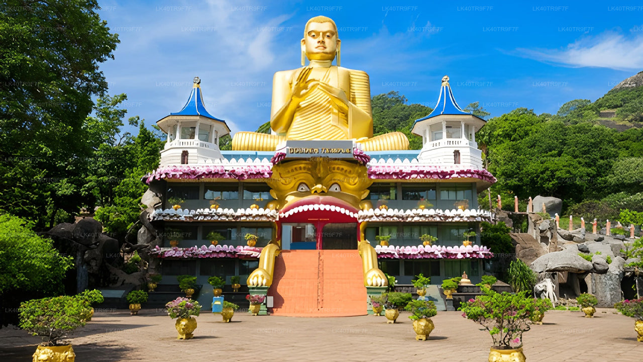 Transfert privé de Colombo à Sigiriya avec arrêts touristiques