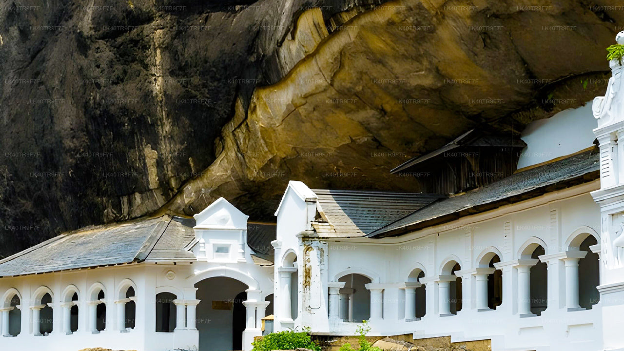 Transfert privé de Colombo à Sigiriya avec arrêts touristiques