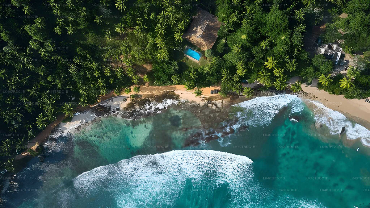 Transfert privé de Negombo à Hiriketiya avec arrêts touristiques