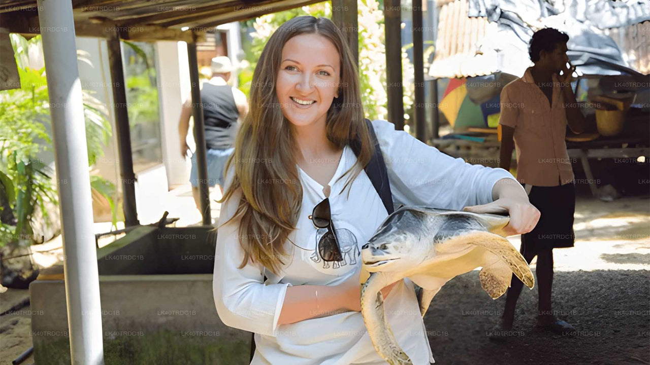 Transfert privé de Negombo à Hiriketiya avec arrêts touristiques