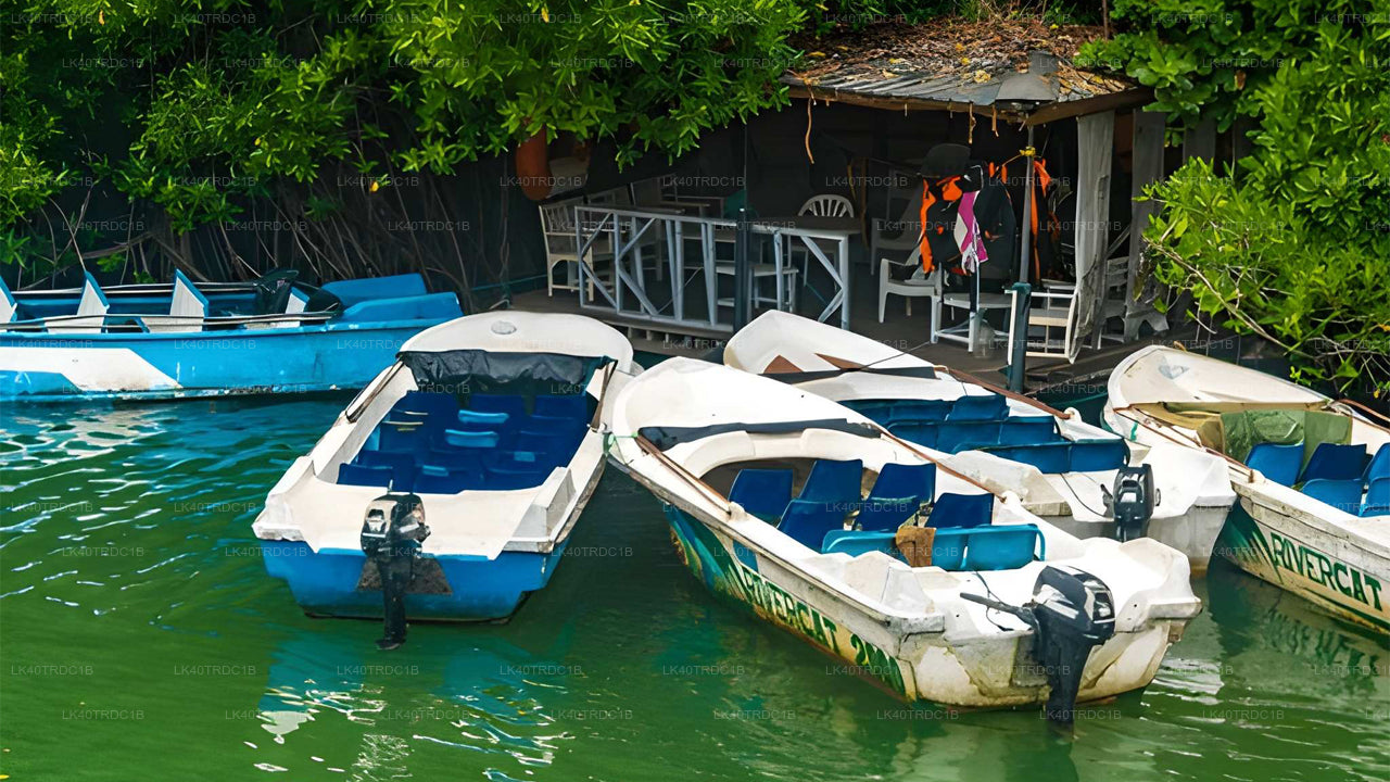 Transfert privé de Negombo à Hiriketiya avec arrêts touristiques