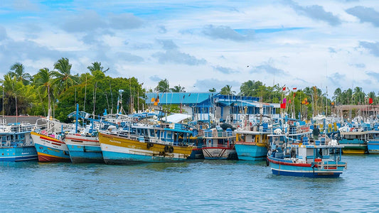 Transfert privé de Negombo à Hiriketiya avec arrêts touristiques