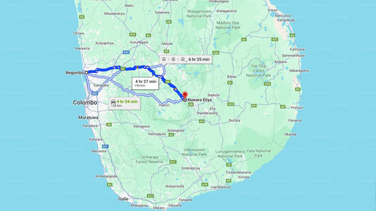 Transfert privé de Negombo à Nuwara Eliya