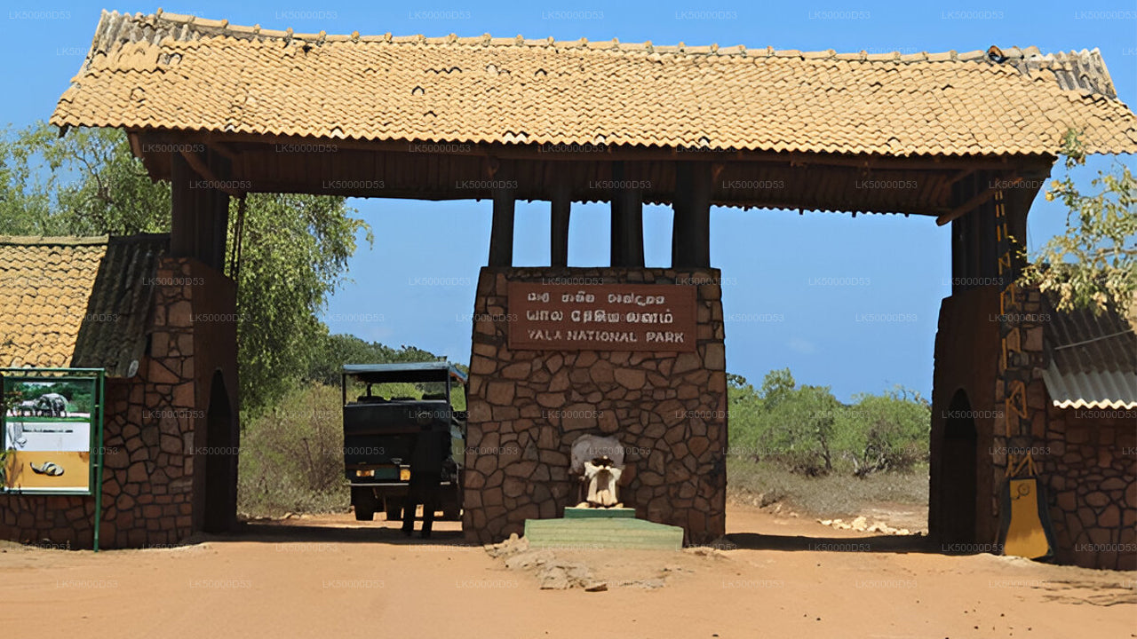 Excursion privée d'Hiriketiya à Ella avec Yala Safari