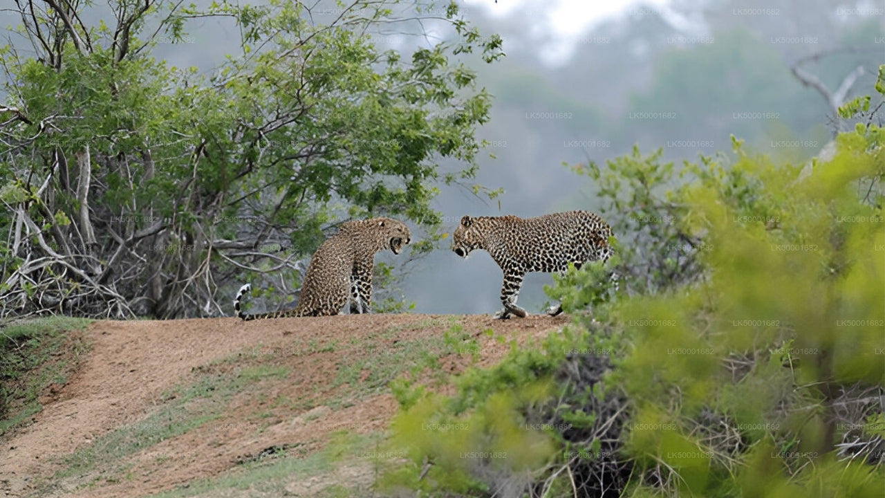 Billet d'entrée au parc national de Yala