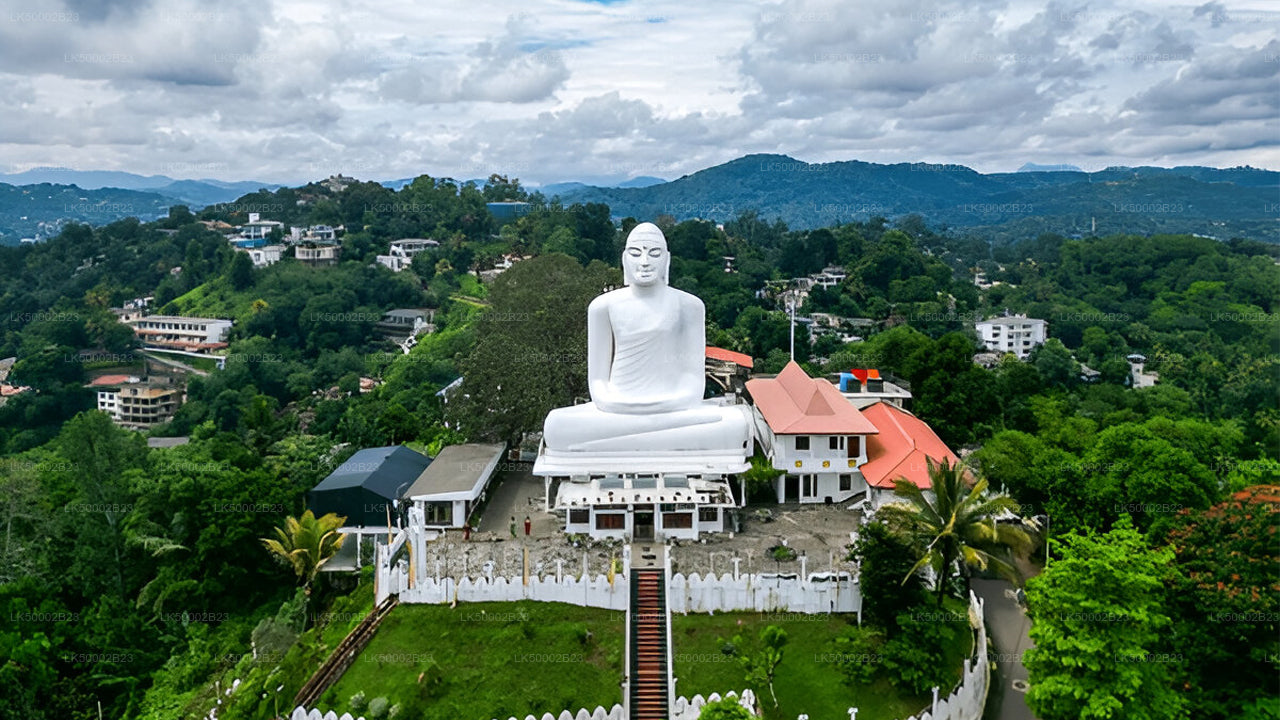 Private Tour from Polonnaruwa to Kandy with Wasgamuwa Safari