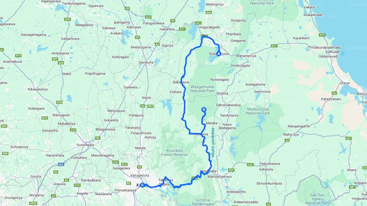 Private Tour from Polonnaruwa to Kandy with Wasgamuwa Safari