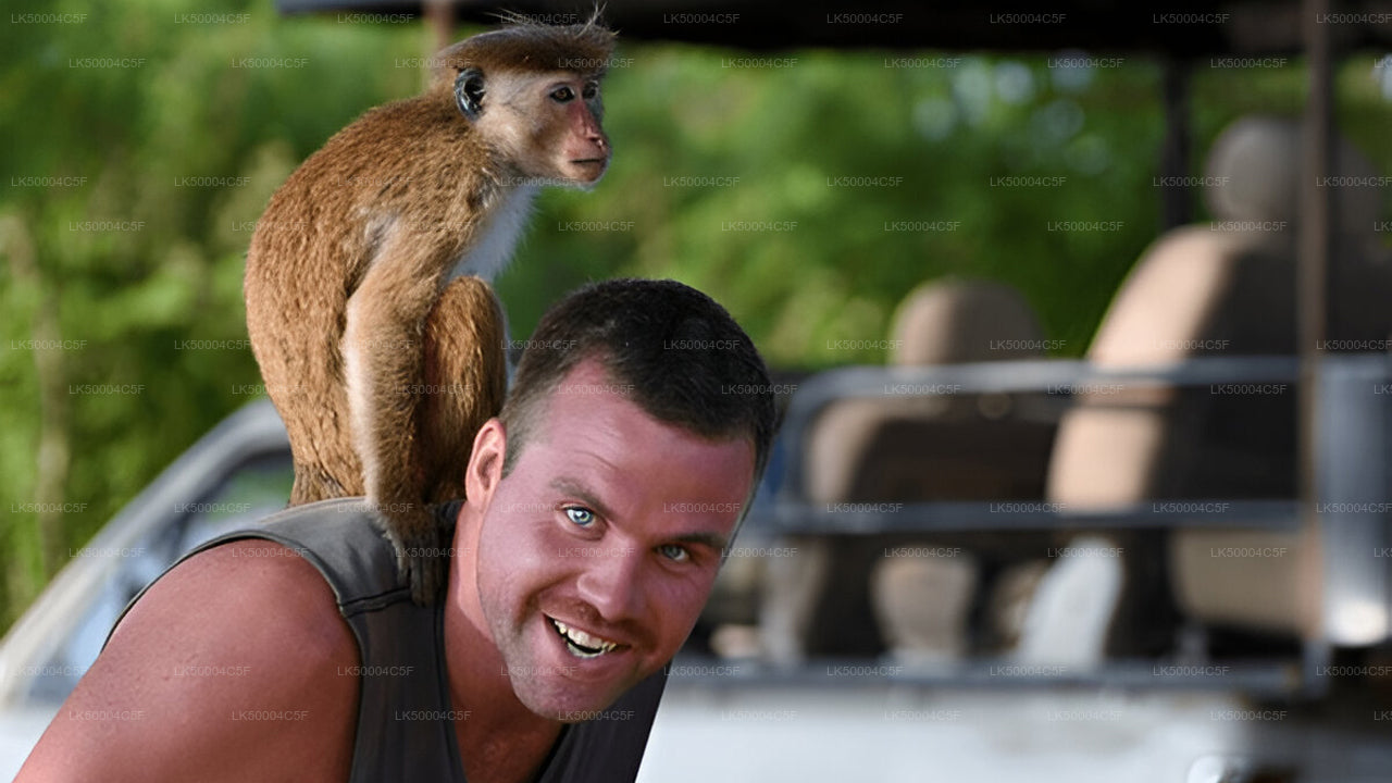 Excursion privée d'Ella à Weligama avec Udawalawe Safari