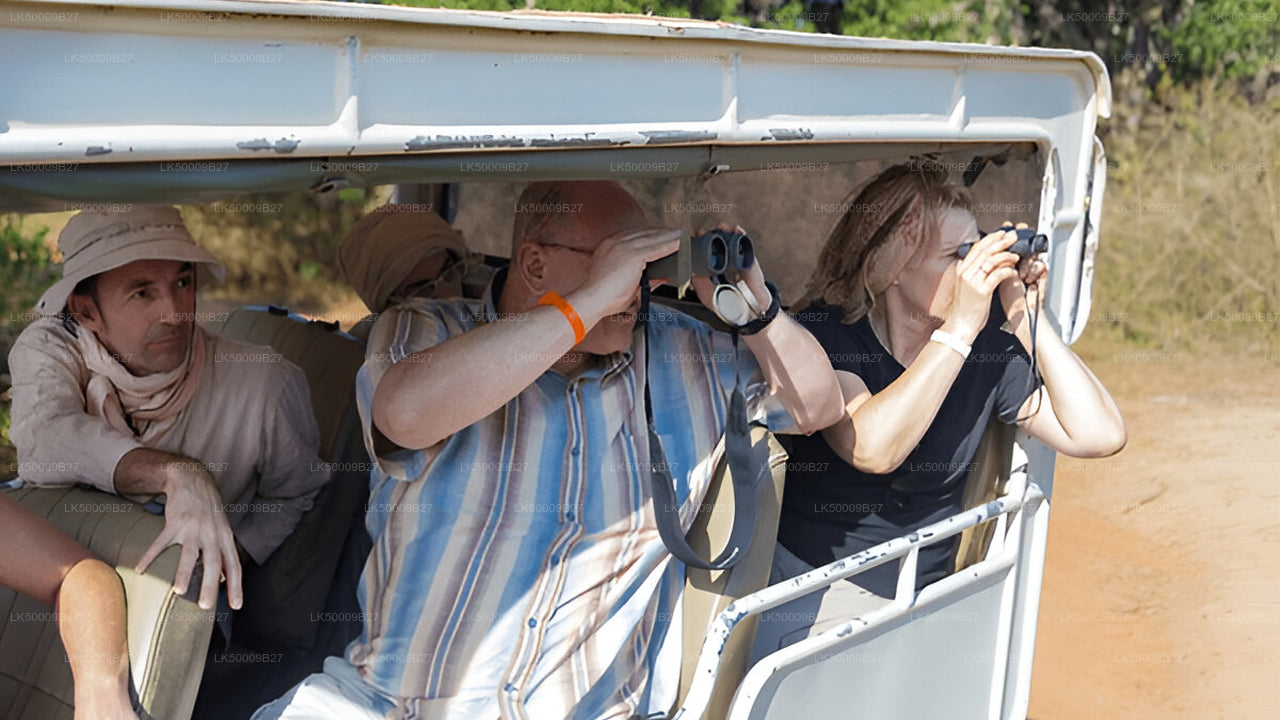 Visite privée de Weligama à Ella avec Yala Safari