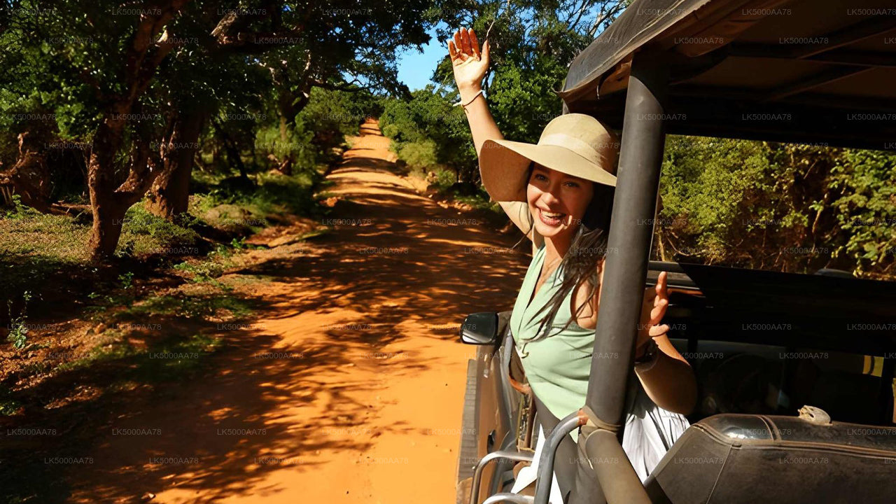 Safari privé dans le parc national de Wilpattu