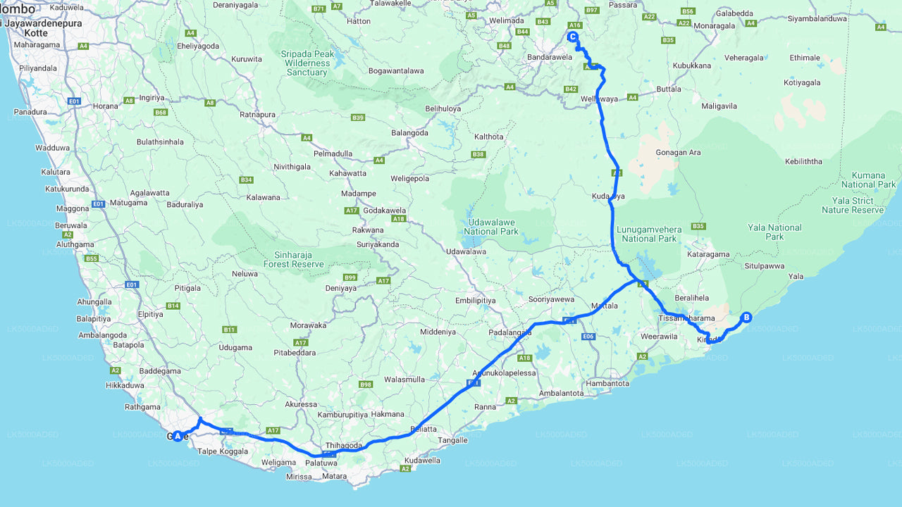 Excursion privée de Galle à Ella avec Yala Safari