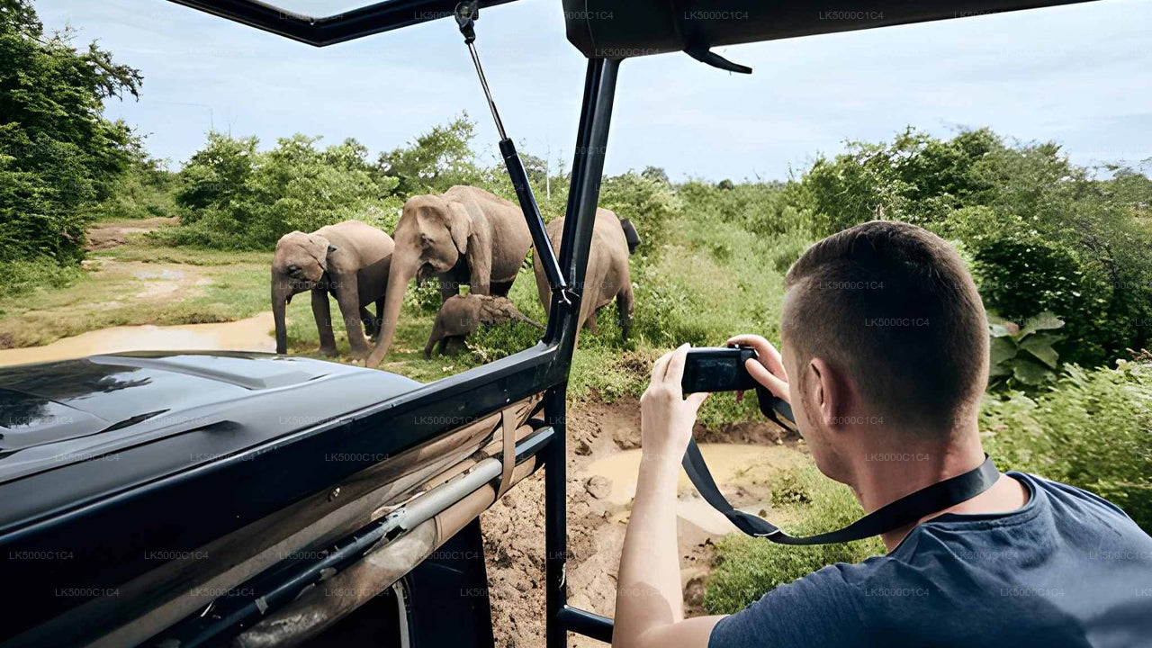 Excursion privée d'Ella à Hiriketiya avec Udawalawe Safari