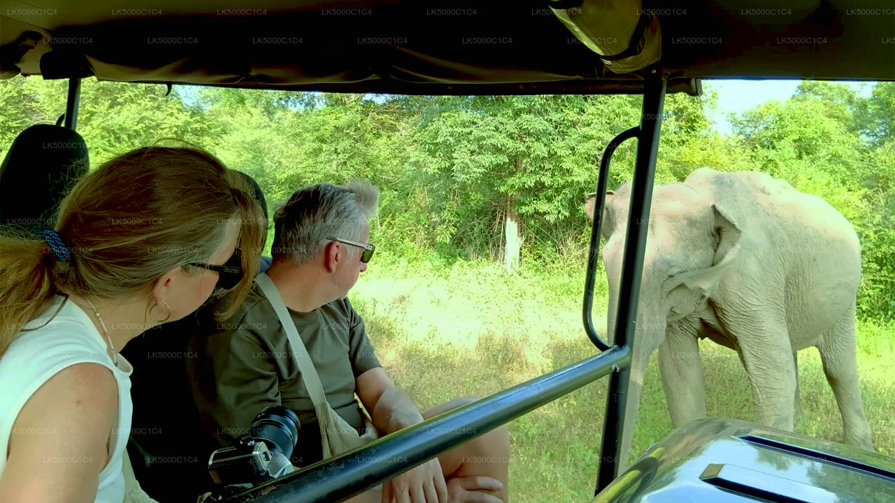 Excursion privée d'Ella à Hiriketiya avec Udawalawe Safari