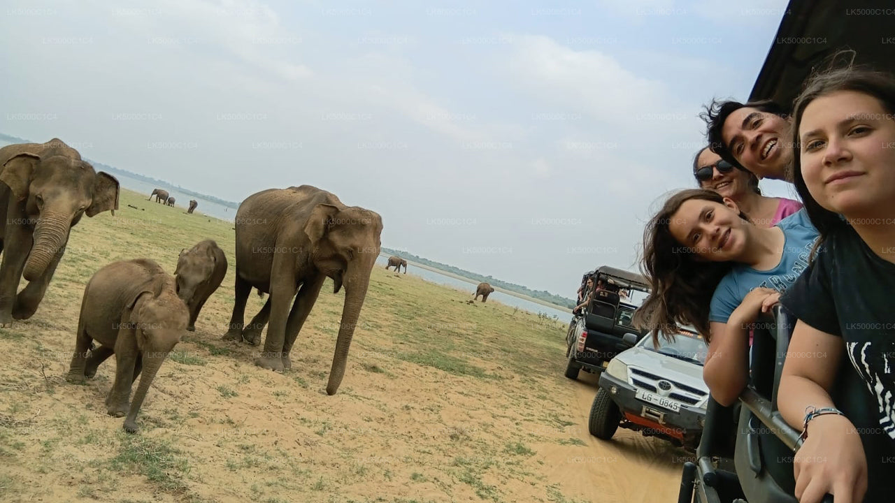 Excursion privée d'Ella à Hiriketiya avec Udawalawe Safari