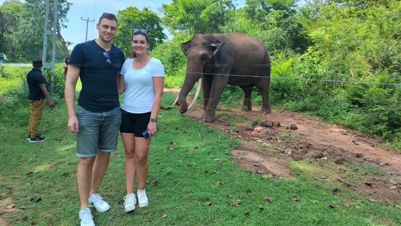 Excursion privée d'Ella à Hiriketiya avec Yala Safari