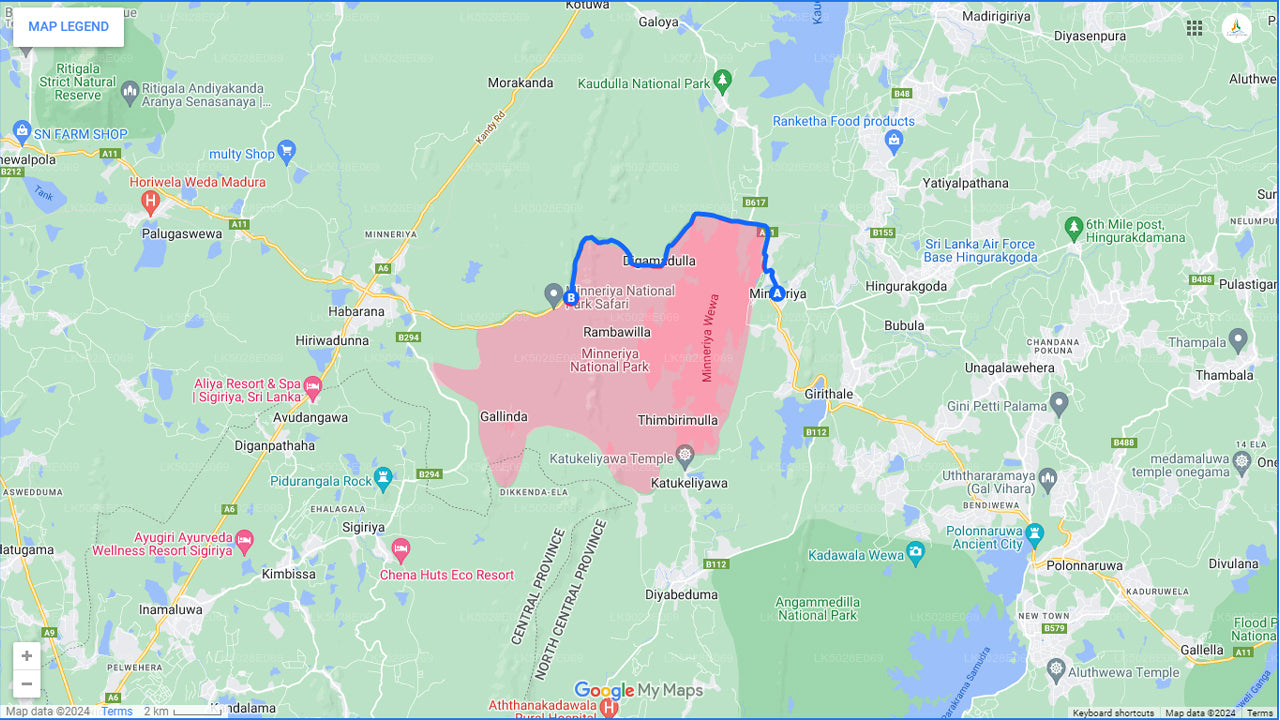 Safari privé du Grand Rassemblement des Éléphants au départ de Minneriya