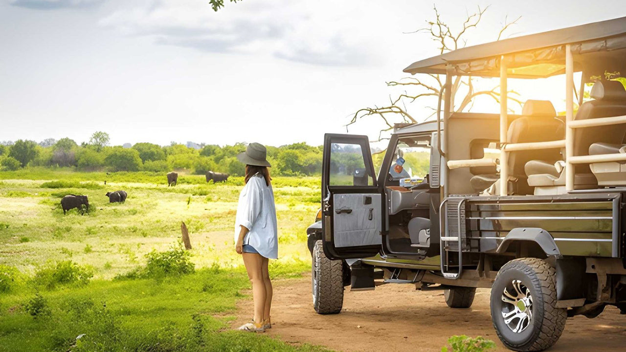Safari privé dans le parc national d'Udawalawe avec un naturaliste