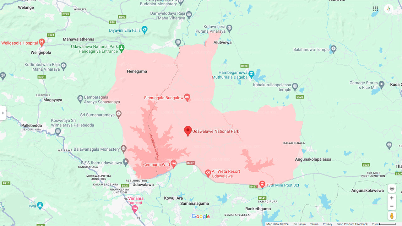 Safari privé dans le parc national d'Udawalawe