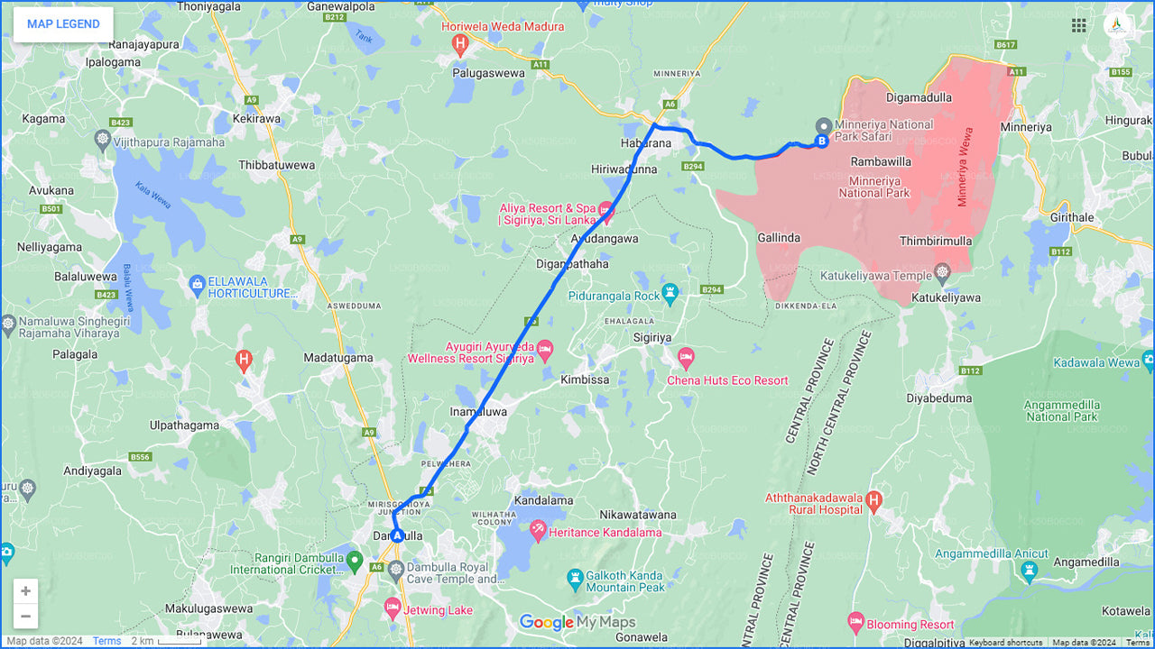 Safari privé au parc national de Minneriya au départ de Dambulla