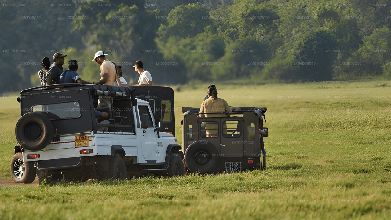Safari privé au parc national de Kaudulla au départ de Sigiriya
