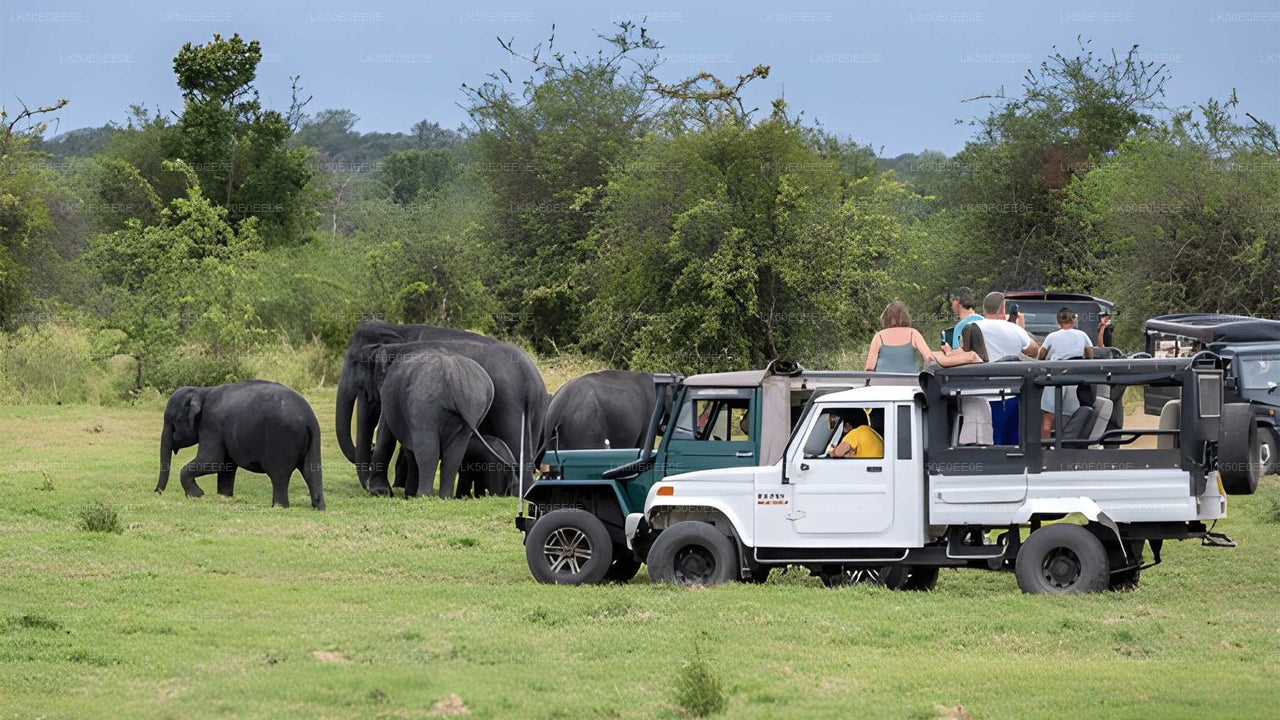 Safari privé dans le parc écologique Hurulu