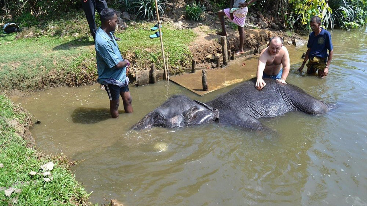 Promenade à dos d'éléphant au départ de Boossa