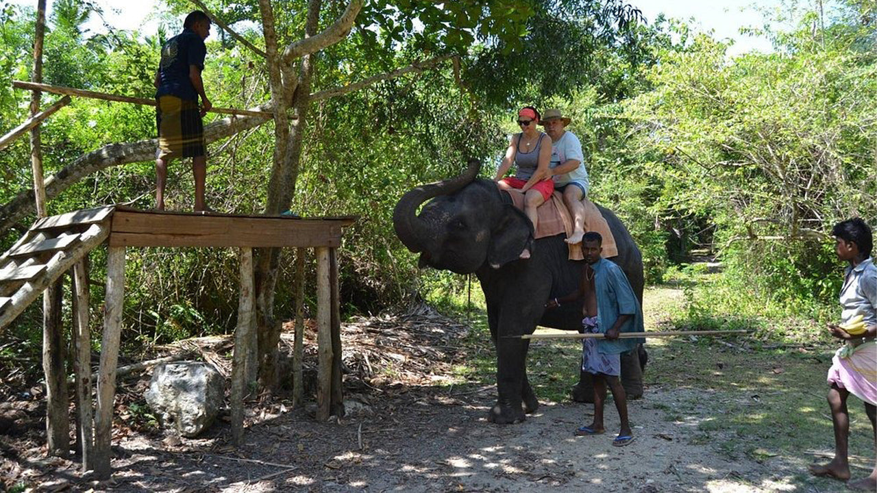 Promenade à dos d'éléphant au départ de Boossa