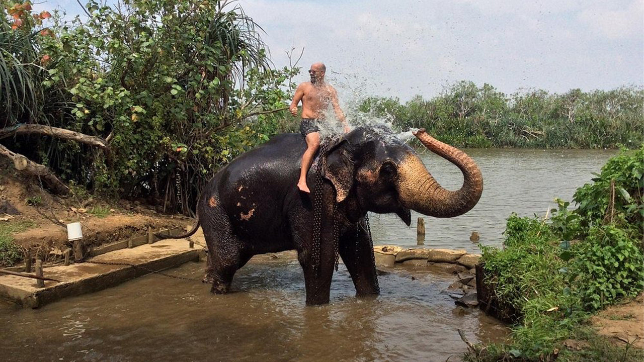 Promenade à dos d'éléphant au départ de Boossa
