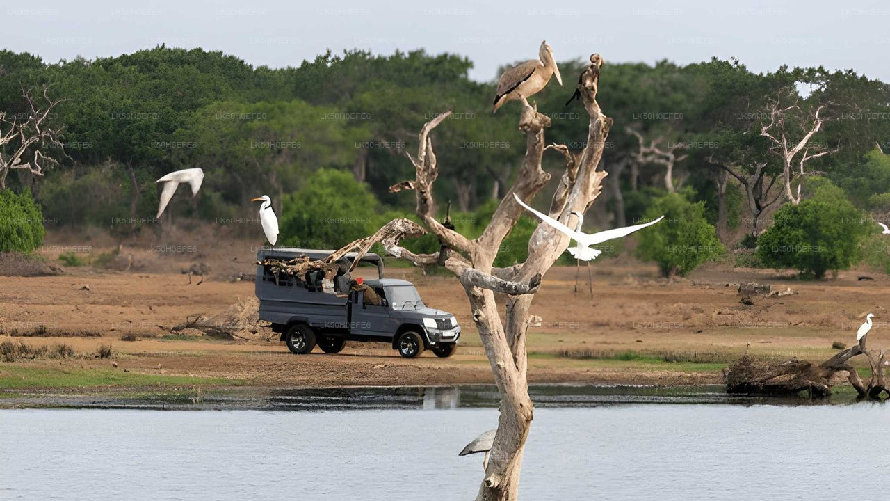 Safari privé dans le parc national de Bundala
