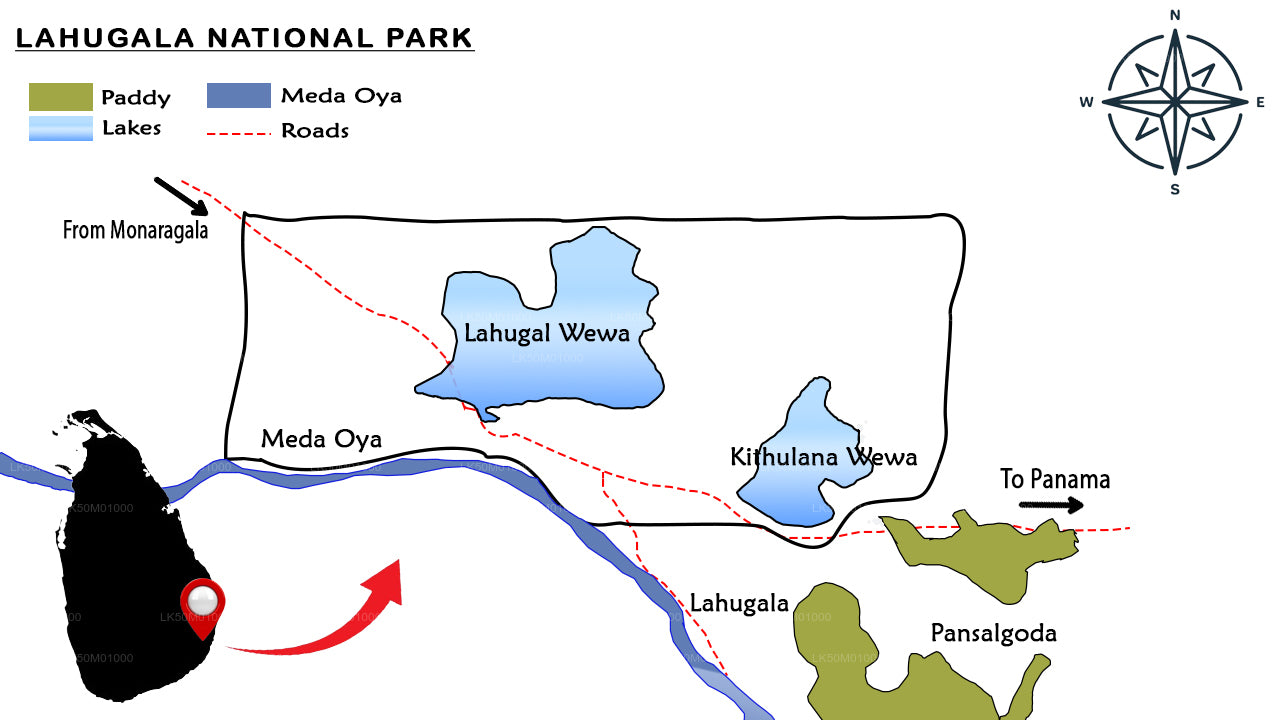 Safari privé au parc national Lahugala Kitulana