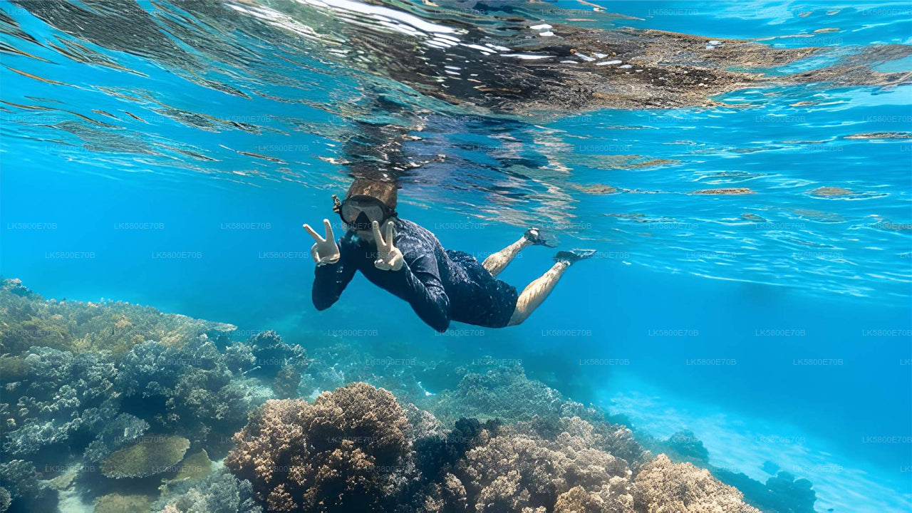 Snorkeling with Sea Turtles from Unawatuna