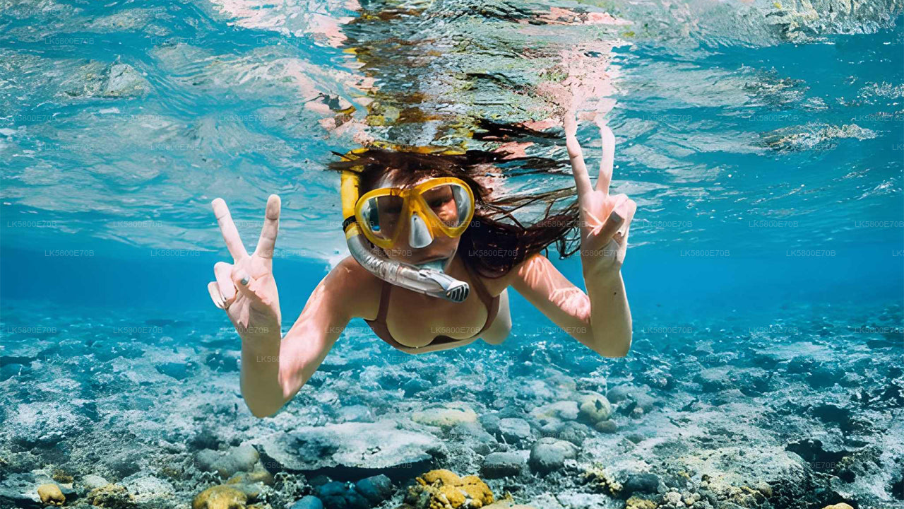 Plongée en apnée avec les tortues marines de Bentota