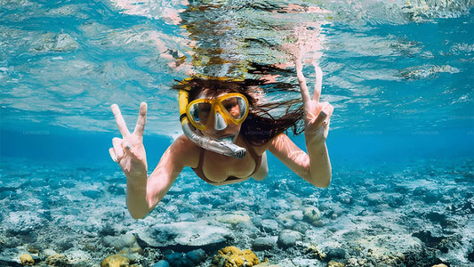 Plongée en apnée avec les tortues marines de Bentota