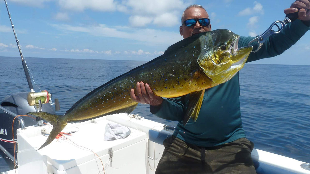 Excursion de pêche à la traîne au départ de Galle