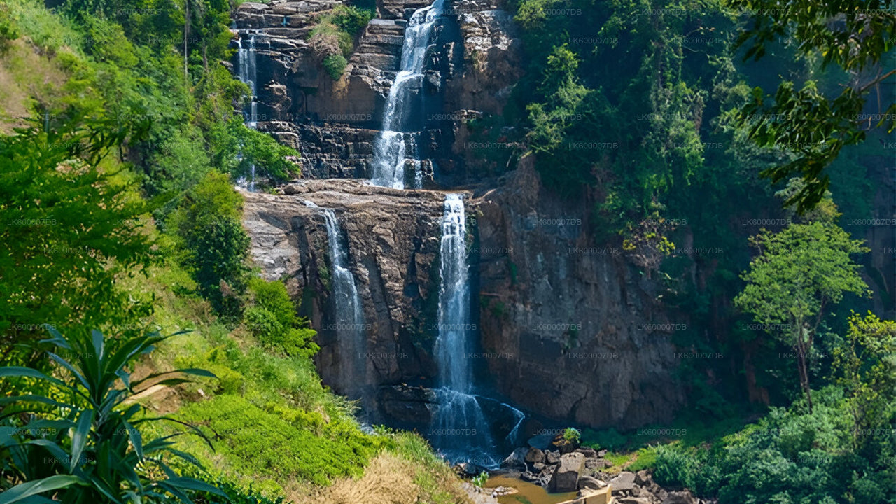 Waterfall cascading down a rocky cliff surrounded by lush greenery