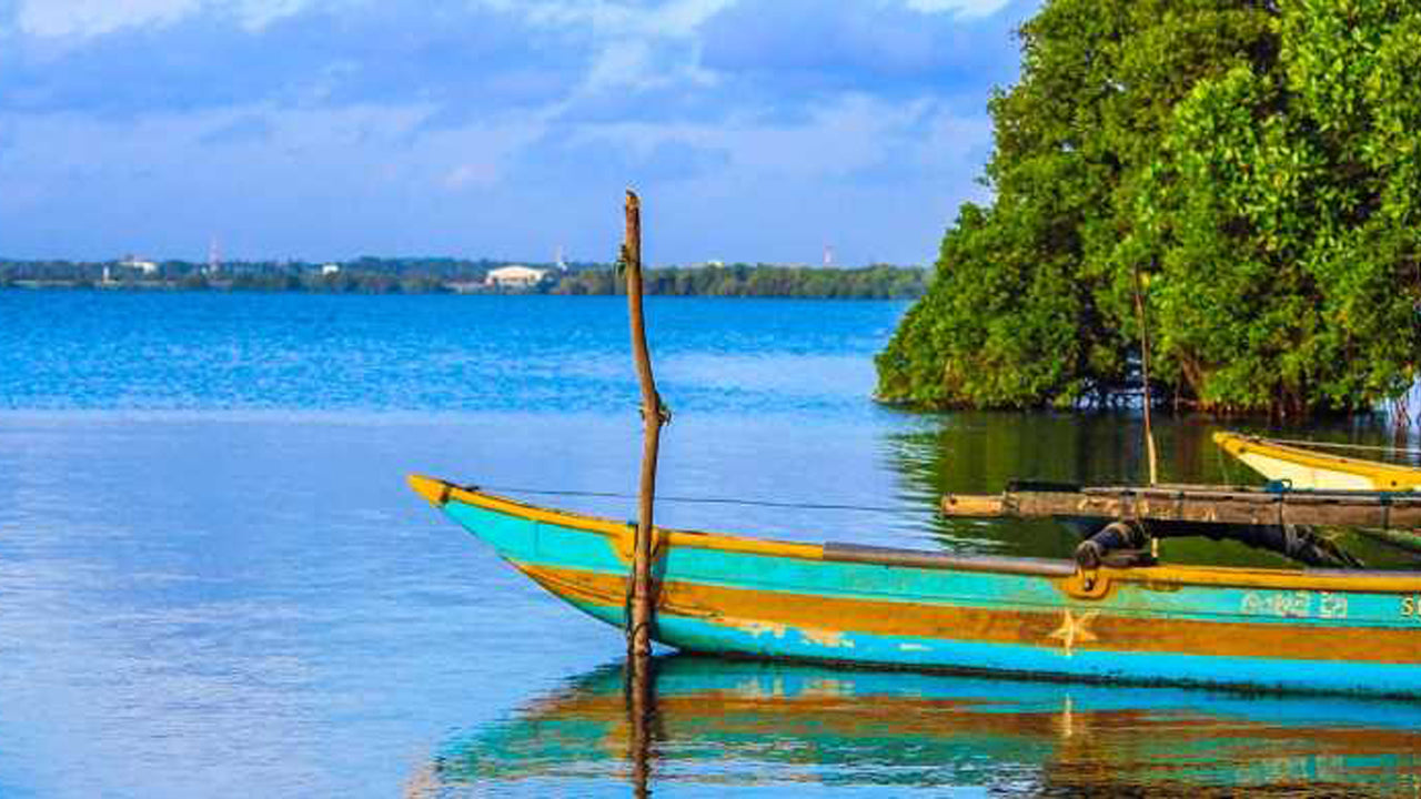 Visite de la ville de Negombo au départ de Colombo